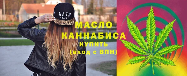 амф Горнозаводск